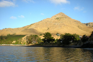 Rapaki3
