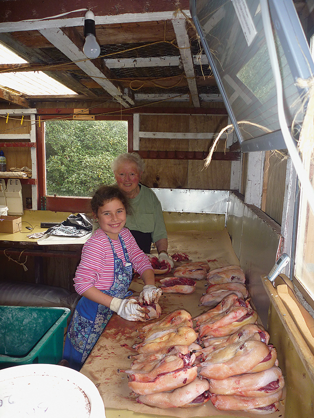 Aunty Jane and her mokopuna Ruby Jane processing tītī, 2010. Ref 2014.P.1309.